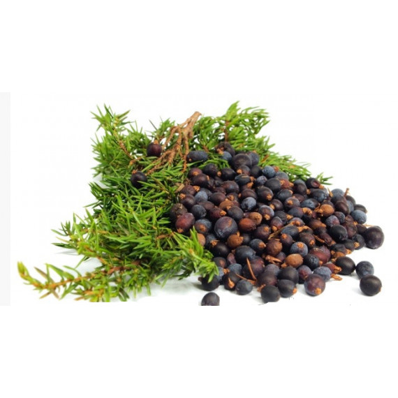 Juniper berries 100 g Monteneg-Vitateka ( mozhevelovye jagody ) ( mozhjevelovye jagody
