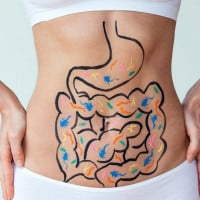 Stomach and digestion