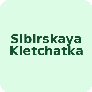 Sibirskaya Kletchatka skaidulos ir sėlenos