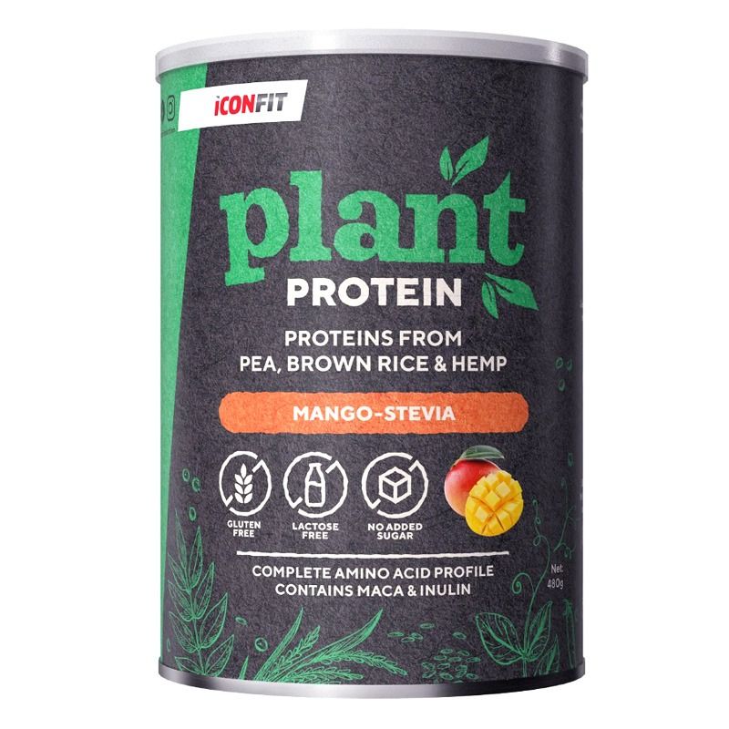 ICONFIT Plant Protein (480g) 