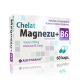 MAGNEESIUMKELAAT + B6-VITAMIIN KAPSLID N60 - ALGPHARMA