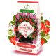 Иван-чай с клубникой 50г - Емельяновская Биофабрика