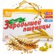 NISUIDUÕLI KAPSLID 300MG N60 - REALCAPS
