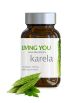 Аюрведическая пищевая добавка Карела N60 - Living You