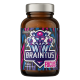 OstroVit Braintus Focus 90  caps