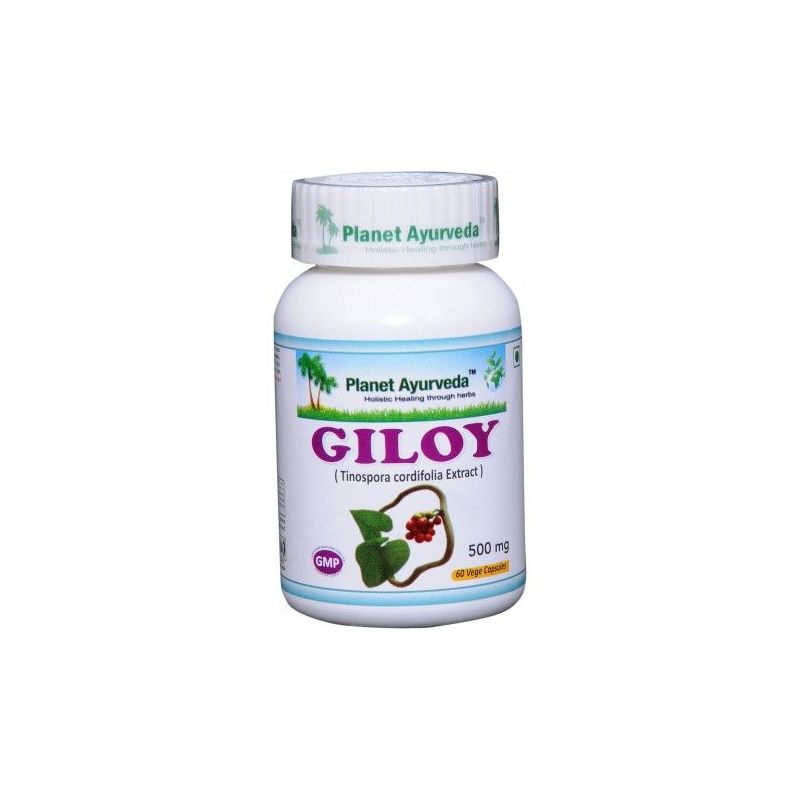 Giloy N60 — standardiseeritud ekstrakt 500 mg - Planet Ayurveda