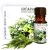 CYPRESS ESSENTIAL OIL 10 ML MEDIKOMED ( kiparis )(кипарис)