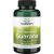 GUARAANA-PAULIINIA KAPSLID N100 - SWANSON