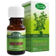 EETERLIK ÕLI MELISSE 10ml - MIRROLLA