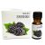 Blackberry eteerinen öljy 10ml - Medicomed