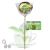 TEA LOLLIPOP teetikkari Green, 30 g - Vitateka