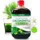 KLOROFÜLL 500ML  - Vitateka
