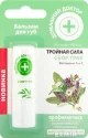 HUULEPALSAM TAIMEDESEGU 3,6G 