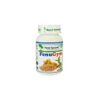 "PLANET AYURVEDA" FenuGym kapslid N60