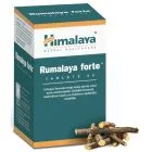 "HIMALAYA" RUMALAYA Forte tabletid N60 
