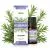 Rozmarinų eterinis aliejus 100%, 10 ml - VITATEKA
