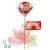 TEA LOLLIPOP arbatos ledinukas Vaisių, 30 g - Vitateka