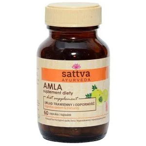 "Sattva" Toidulisand Amla Extract N60