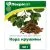 TEEJOOK PAAKSPUU KOOREST 50 G LEKRASET - X 