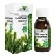 KLOROFÜLL PIPARMÜNDIGA 100ML - TEAVIT
