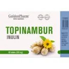 "GOLDEN PHARM" Topinambur tabletid, N60