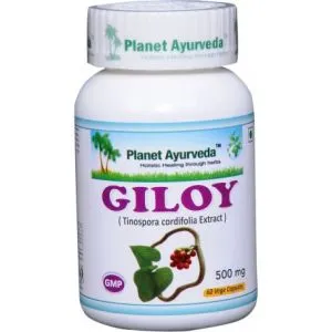 Giloy N60 — standartizuotas ekstraktas 500 mg - PLANET AYURVEDA