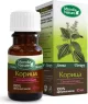 EETERLIK ÕLI KANEELII 10 ml - MIRROLLA