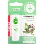 HUULEPALSAM TAIMEDESEGU 3,6G 
