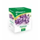 LAVENDEL (ÕIED ) 25GR – LEKRASET 