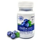 "HERBIN" Toidulisand Bilberry Forte (Mustikas Forte) tabletid 100 tk.