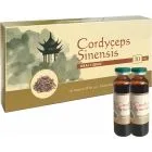 Hiina korditseps 10 ml 10 ampulli