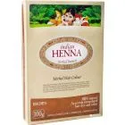 INDIAN HENNA PRUUN 100G 