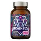 "OSTROVIT" Braintus Focus, kapslid N90