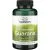 GUARAANA-PAULIINIA KAPSLID N100 - SWANSON