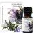 Rosemary essential oil 10ml – Medikomed
