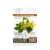 Super Celandine Cosmetic Balm, 3 ml – Herbal Traditions