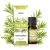 Tea tree essential oil 100%, 10 ml - VITATEKA
