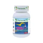 "PLANET AYURVEDA" Stress Support kapslid N60 
