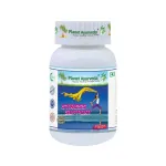 "PLANET AYURVEDA" Stress Support kapslid N60 