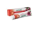 "PÄÄSTERÕNGAS" SOOPIHLA liigesekreem-palsam 50 g