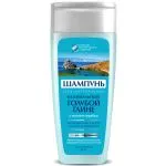 BAIKALI SINISAVIGA HÕBEIOONIDEGA ŠAMPOON JUUSTELE 270ML - FITOKOSMETIK