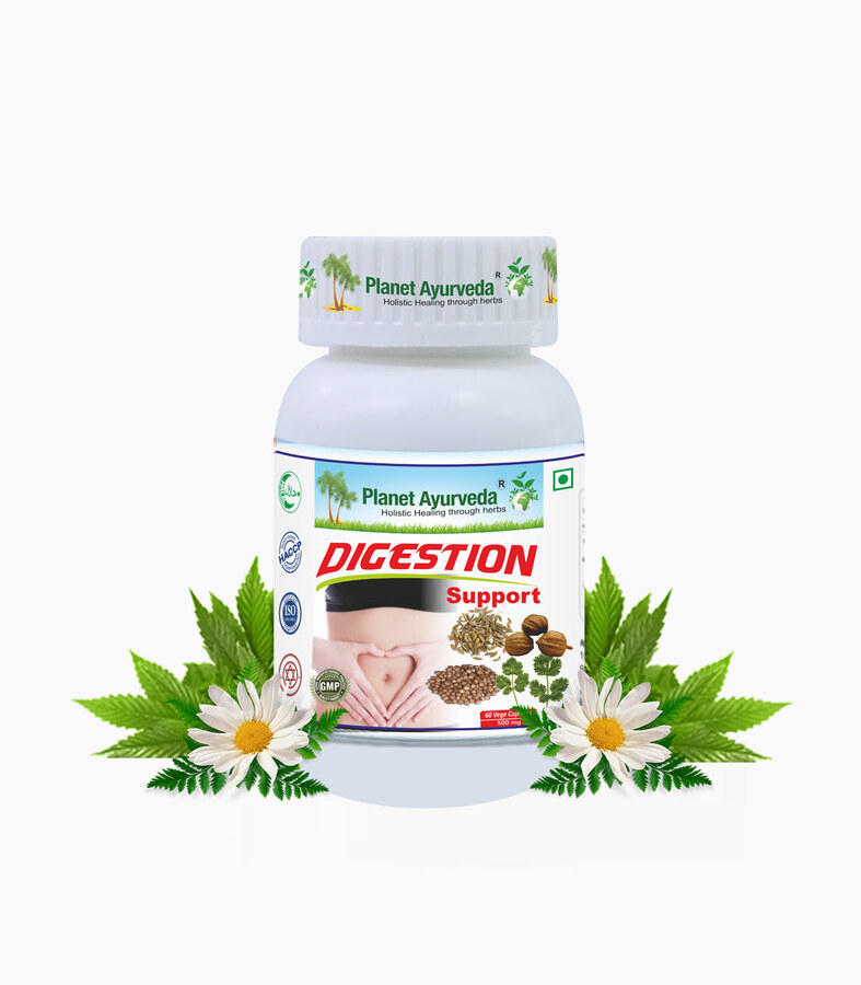 Digestion Support капсулы 500 мг N60 - PLANET AYURVEDA
