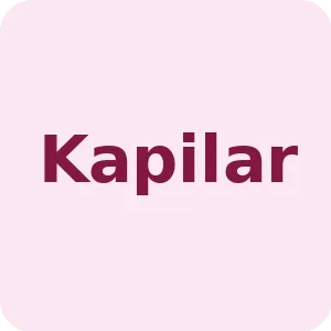 Kapilar