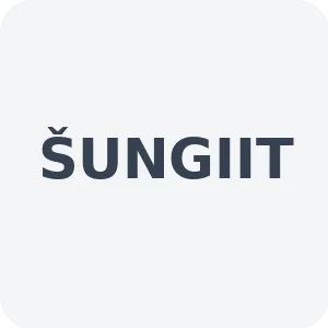ŠUNGIIT
