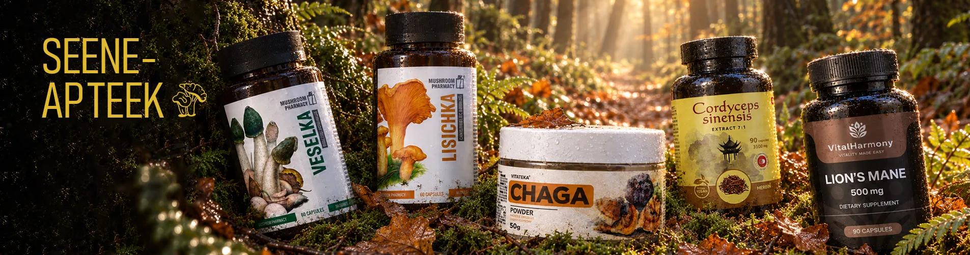 Mushroom pharm