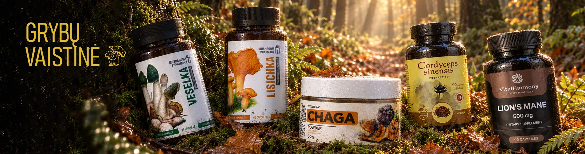 Mushroom pharm